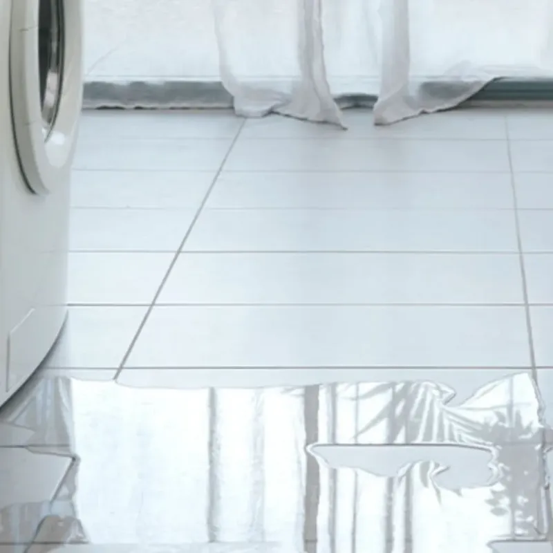 Appliance Leak Cleanup in Kentfield, CA